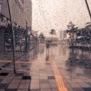 늘푸른 행정사사무소 이미지