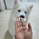 서오릉로532번길 | 숭이숭이 원숭이