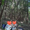 헤어프레소 - 영등포구 도신로29길 1 | [제주웨딩스냅] - 셔터프레소 제주 스페셜티 후기 with 라벨르제니