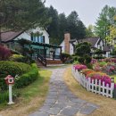 대명노르웨이숲 이미지