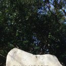 김종식 그림비 이미지