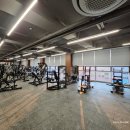 언니네 헬스장 이미지