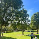 베흐방