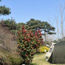 삼원레저타운 이미지