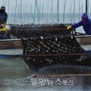 인천수산 이미지