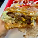 애니몰 | [미국 LA 여행-인앤아웃 버거] 메뉴 추천 주문방법 더블더블버거 치즈버거 애니몰감자튀김 후기