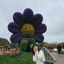 이기충 농장 | [충남/태안]2026 태안국제원예치유박람회 후기｜입장권, 주차, 체험, 포토존 총정리