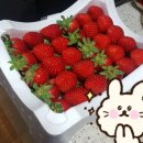 아잇츄 이미지