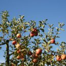 골안경로당 이미지