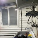 안골염소농장 이미지