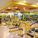 스타칼리 이미지