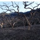 수청농장 이미지