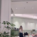 핑크브리즈힐 이미지