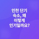 갤러리카페온고 | 인천 송도 & 차이나타운: 도심 속 여름 휴가의 숨은 보석 꿀 숙소 추천!