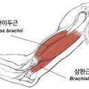 오다필라테스&PT 이미지