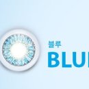 으뜸50안경미금점 이미지