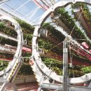 대산축산농장 | 월간농경과원예 2025년 10월호