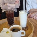 커피앤티스
