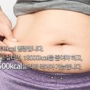 포식코리아 이미지