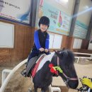 승마체험시간~🐎 이미지