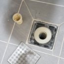 더 센트로드 이미지