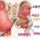 머슬96짐 이미지
