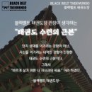 정의야 태권도장 이미지