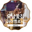 아이엠로사 이미지