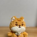 케***** 이미지