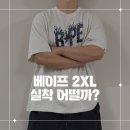 패턴 및 봉제(Ⅱ) | 베이프 와일드 레오파드 패턴 베이프 스타 로고 릴렉스드 핏 2XL 실착 및 제품 리뷰