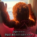 청주 실내 놀거리 액티비티 점핑배틀 발판게임 중형방 이지 후기