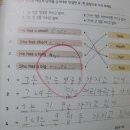 문장이 술술 이미지