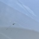 친구세차장 이미지