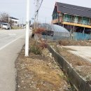 봄에새싹 이미지