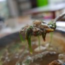 금광식당 이미지