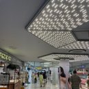 강남꽃직매장 이미지