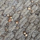 여행가방펜션 | 가평 카라반 펜션 추천 &lt;뭉클하우스&gt; 마차에서 재밌게 놀기 !