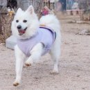 숲멍 네이버블로그