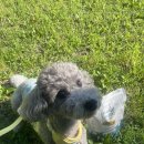 동남덴탈 이미지