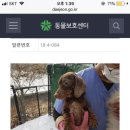 마리아 농장 이미지