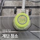 영토탈 이미지