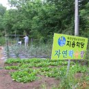 지용농장 Daum카페