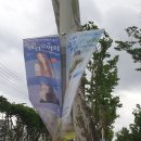 숲속 열린 음악회 with 이현공원 (이무진,윤민수) 이미지