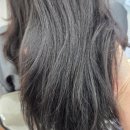 부평구의회(부평구청내) | 인천 부평) 부평구청 미용실, 밀본클리닉 현민 디자이너 후기