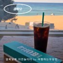 커피콩 | 강릉당 안목해변 커피콩빵 후기, 강릉여행 기념품 필수 코스!