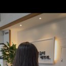 모던헤어 | [증평 모던헤어] 결이 살아나는 여신 레이어드펌 🌿