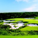 BEST 스크린골프 이미지