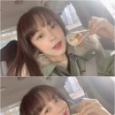 보보 이미지