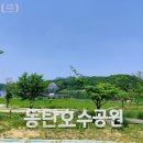 횡단보도옐로카펫 | 동탄호수공원 행사 체험 솔직후기 | 2026 함께, 놀이로 배우는 안전 제4회 약속 페스티벌 '프로미 안전...
