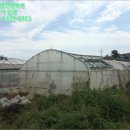 동일리-4 이미지